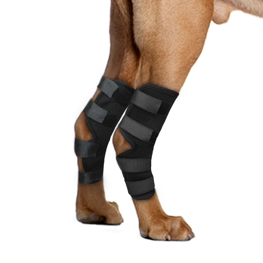 Dog Recovery Sleeve Knee Pad Large Dog Support