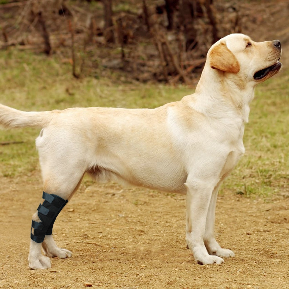 Dog Recovery Sleeve Knee Pad Large Dog Support