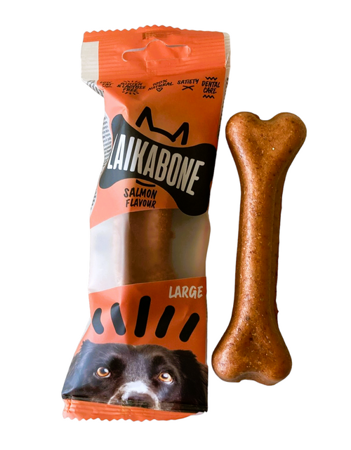 Cheese & Salmon ( BOX )