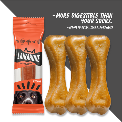 Cheese & Salmon ( BOX )