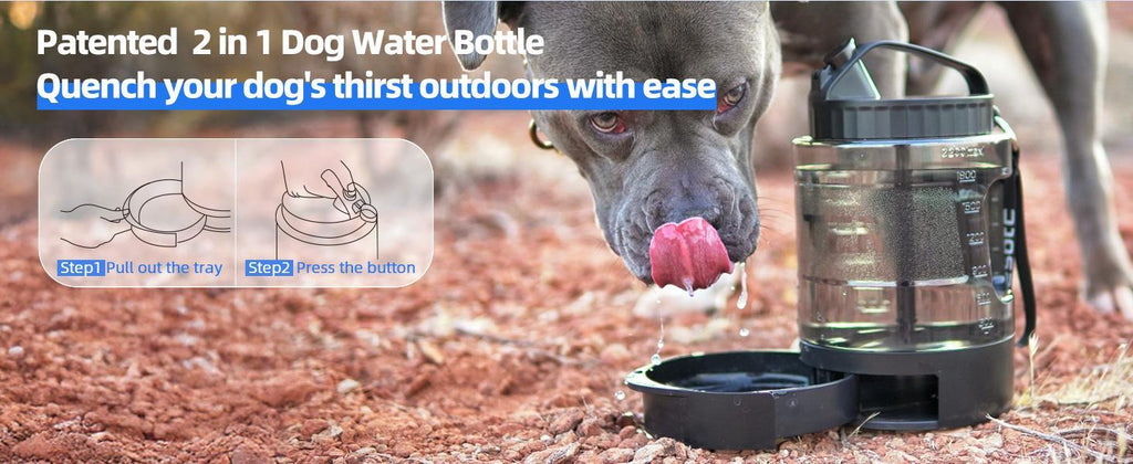 Lassot Portable Pull-out Water Bowl For Dogs, Large Capacity, Perfect